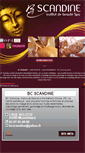 Mobile Screenshot of bcscandine.com